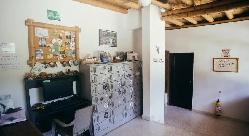La Tortuga Hostel