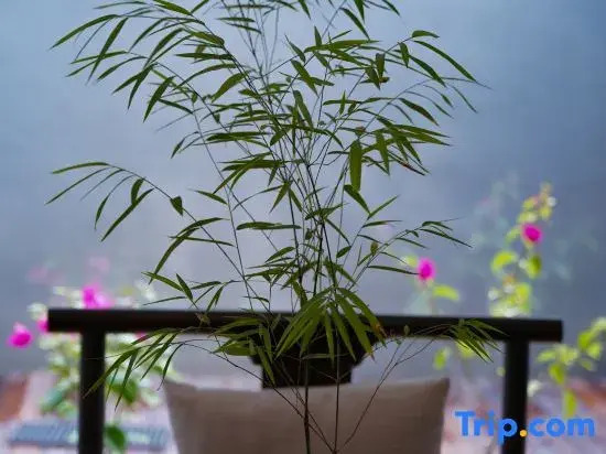 Xiangyu Courtyard-Style Hotel (Ancient City of Zhengding Longxing Temple)