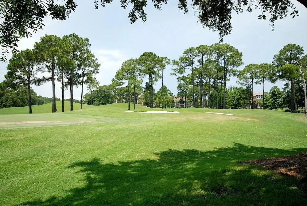Magnolia Bay 8598