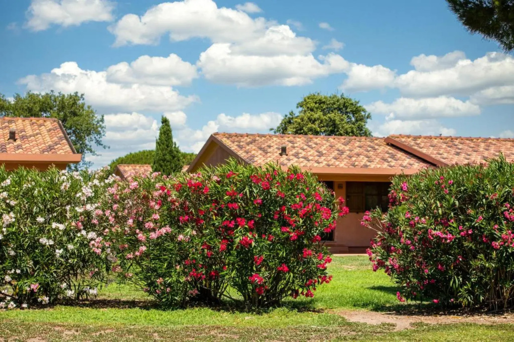 Gitavillage California