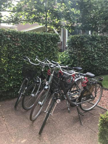 Hartje Haarlem B&B