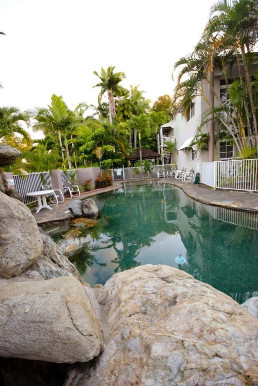 Reef Palms
