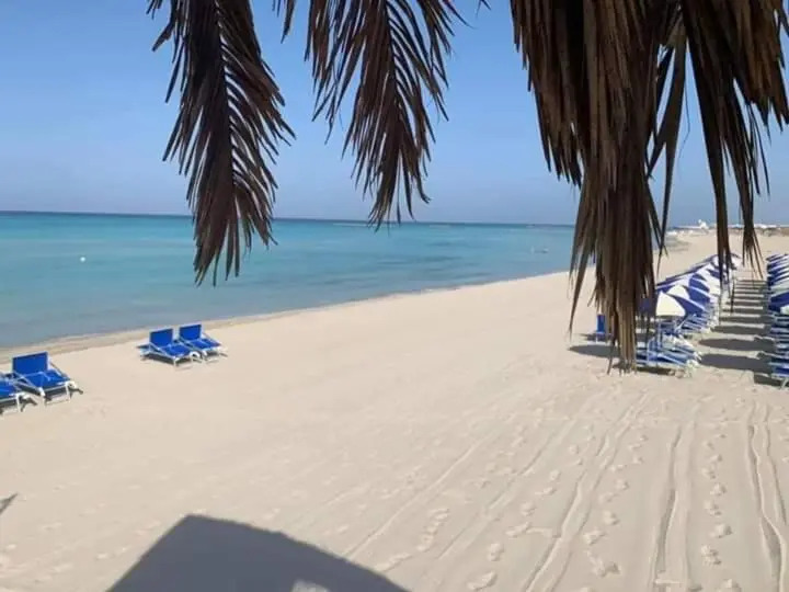 Bilocale Vista Spiaggia 10 Metri Dal Mare
