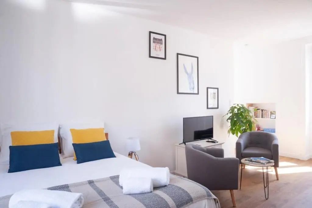 Le Saint-Etienne Studio Moderne Et Lumineux