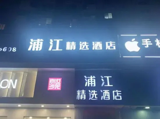 Pujiang Collection Hotel (Shanghai Metro StationWulian Road)