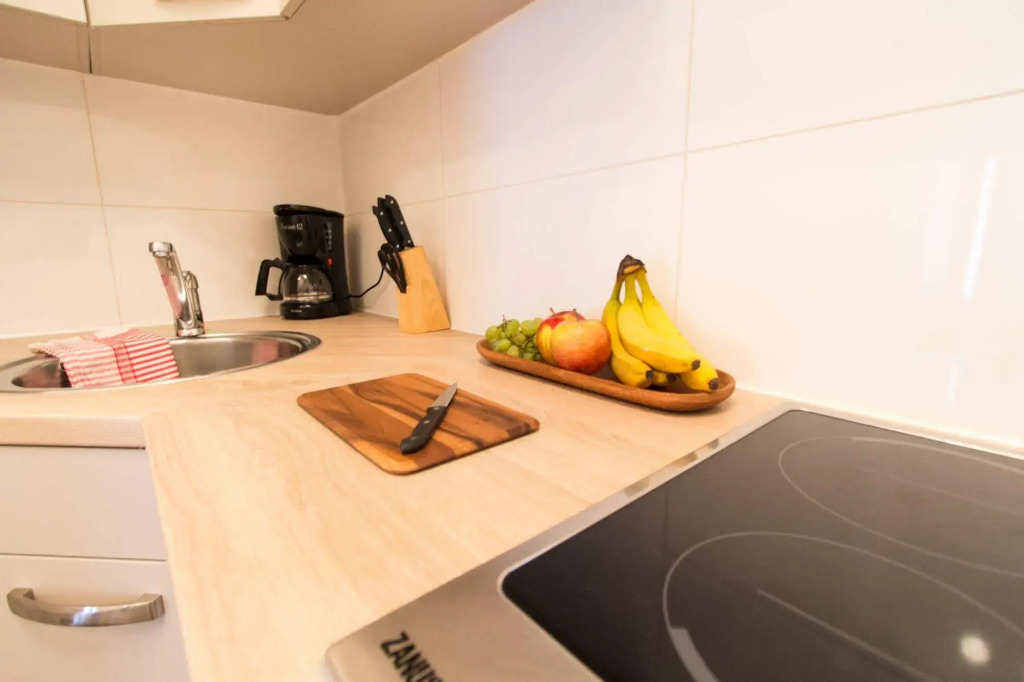 CheckVienna – Apartment Roßauer Lände