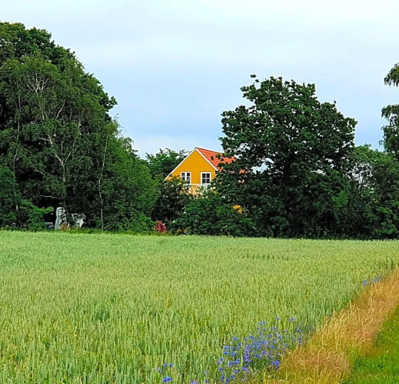 The FIG Studio - Boutique Guest House - near Rønne & Beach