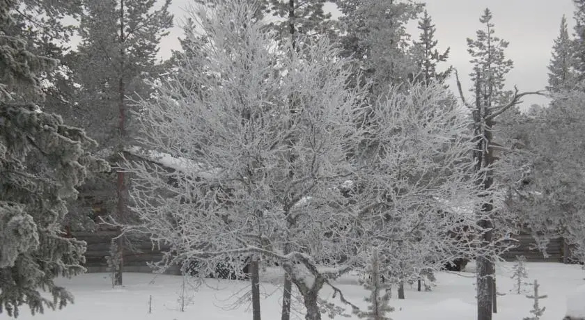 Saariselkä Inn Log Cabins