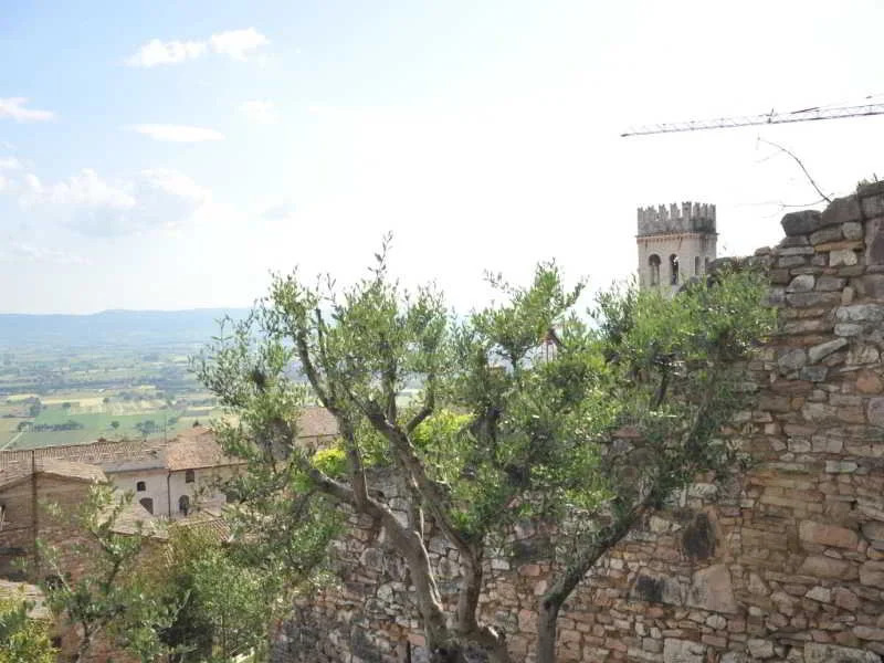 Vico Del Poeta