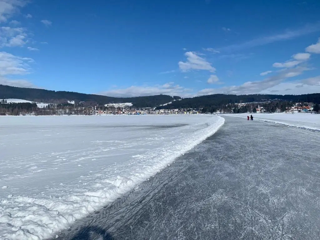 Wellness & Spa Apartments Lipno - Frymburk