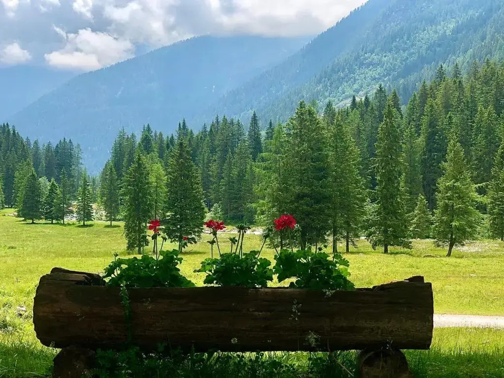 Suite Italy Pinzolo