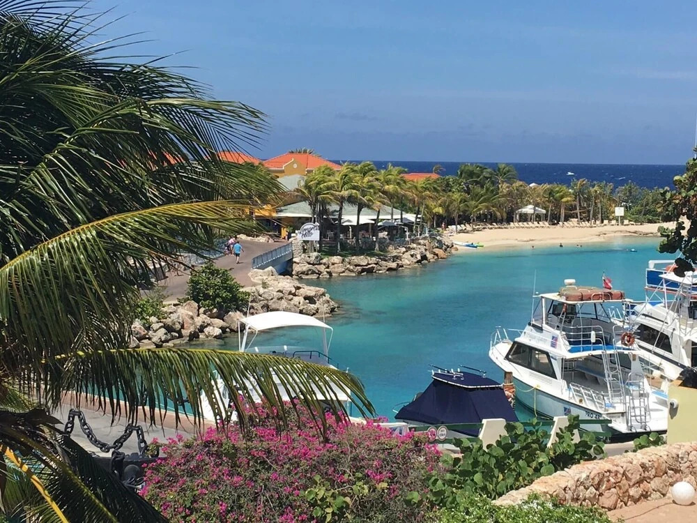 Ocean Resort Villa Condor