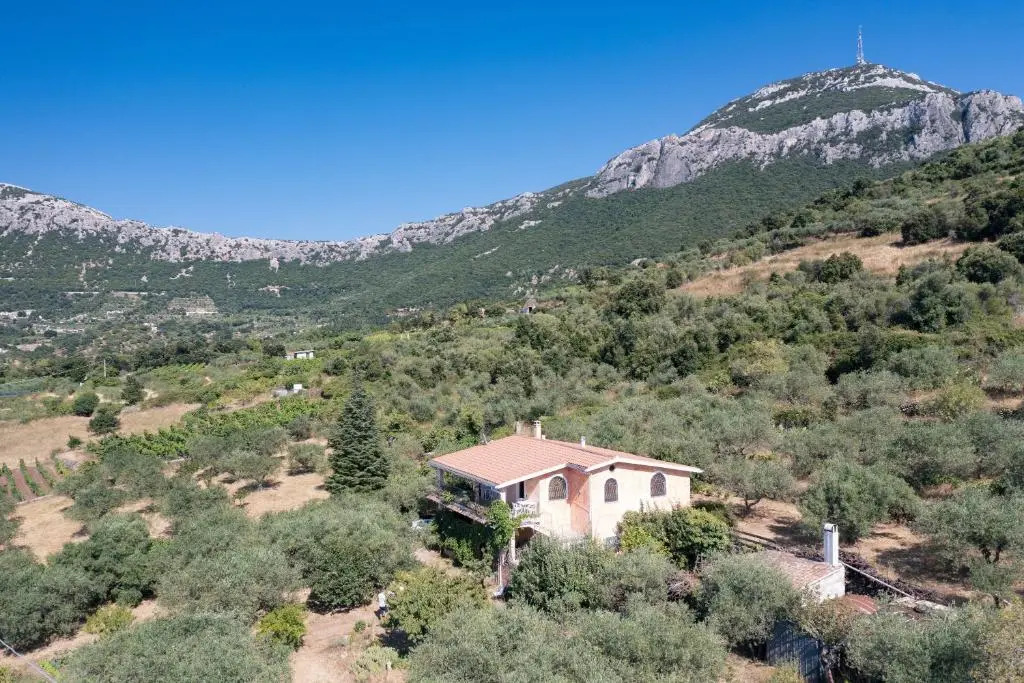 Appartamento 1 in Villino Filieri