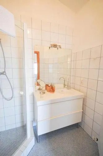 Apartment Schmitten 67