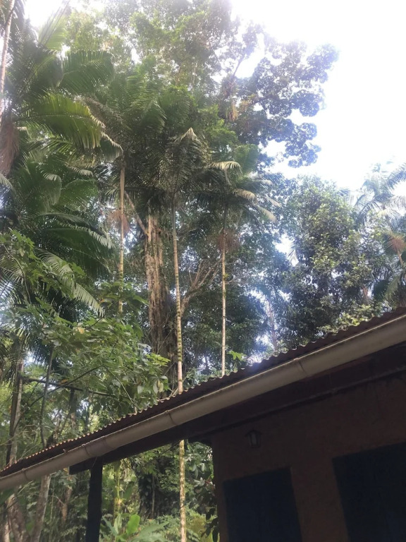casa barra grande Jardim das Oliveiras