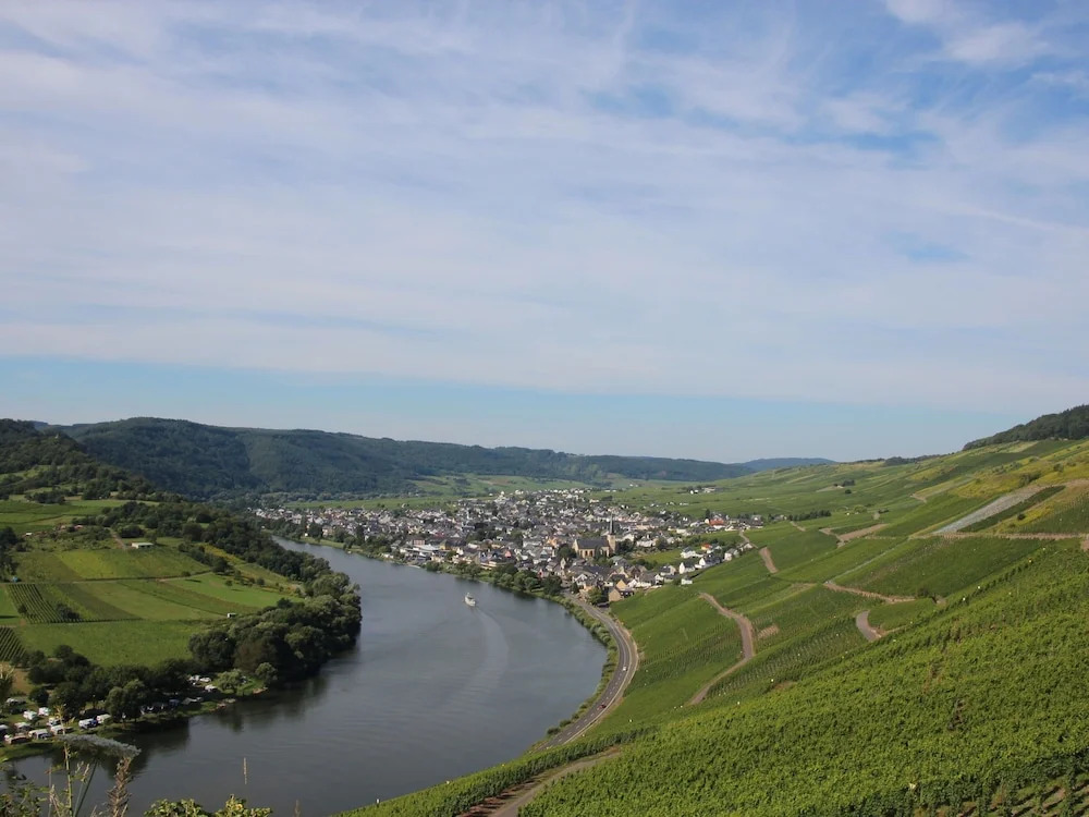 Well-Maintained Holiday Home on a Vineyard near Town Center