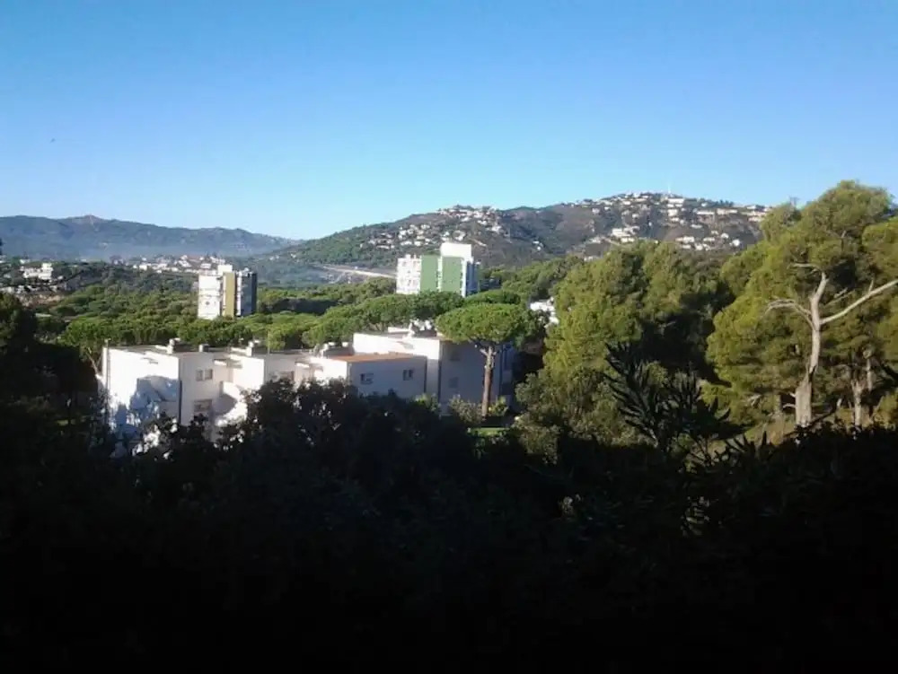 Apartamento Petunias Bl. I Esc 2, 1-2