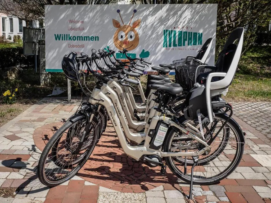 Отель Xylophon