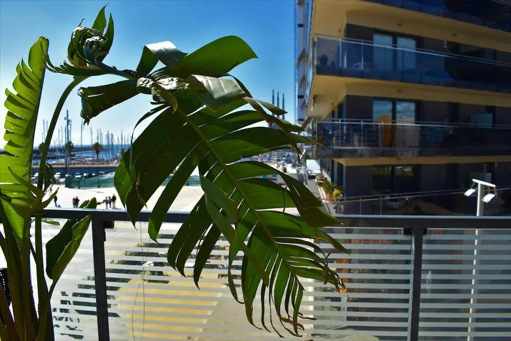 Barcelona Beachfront Apartment