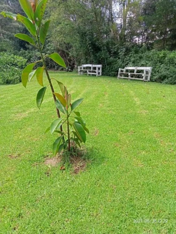 Sofa Camp Naivasha