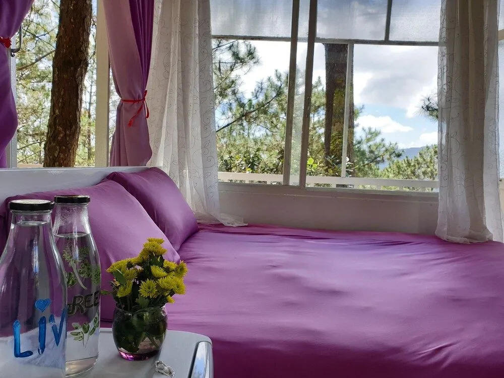 Pine Hill Homes Dalat