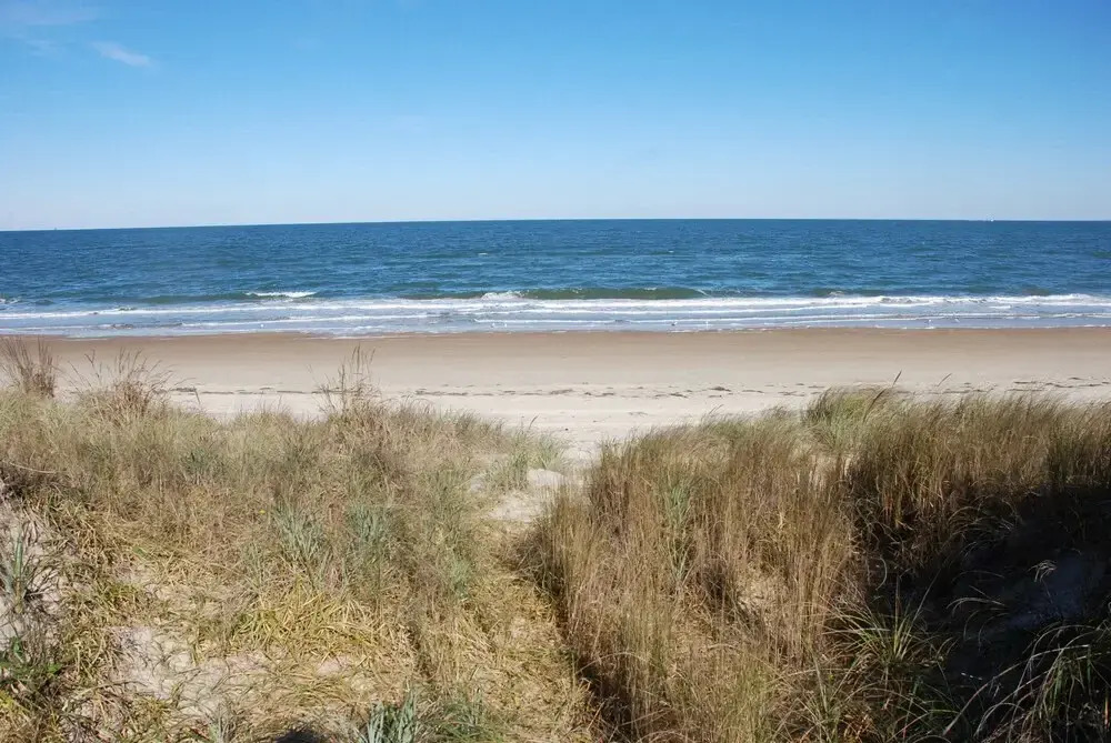 Old Time Beach Front Cottage - The Beach Is Your Backyard! 3 Bedroom Cottage by RedAwning