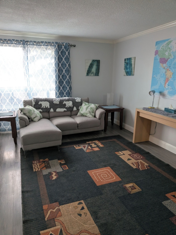 Cozy 1-bedroom Apartment in Edmonton - Perfect City Retreat