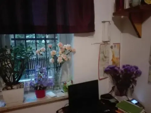 Hostel Madeira