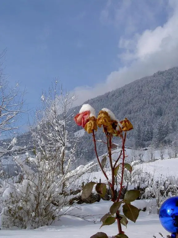 Haus Tirol
