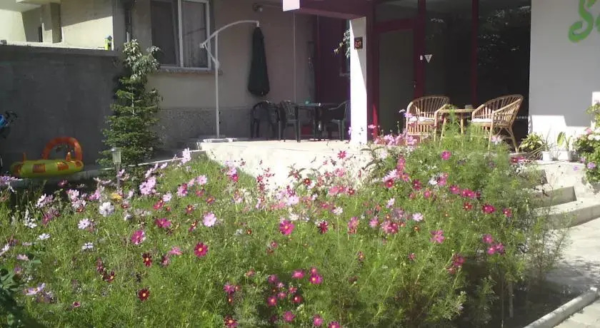 Stedy Guest House