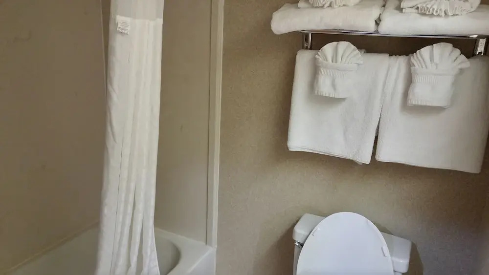 Comfort Inn Newport