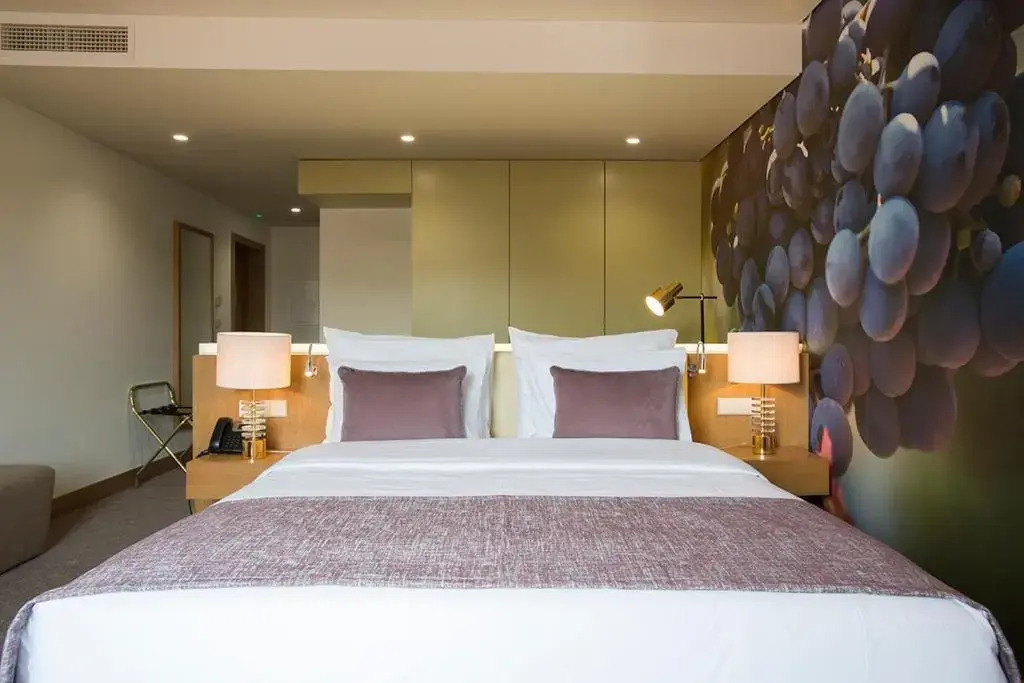 Douro Castelo Signature Hotel & Spa