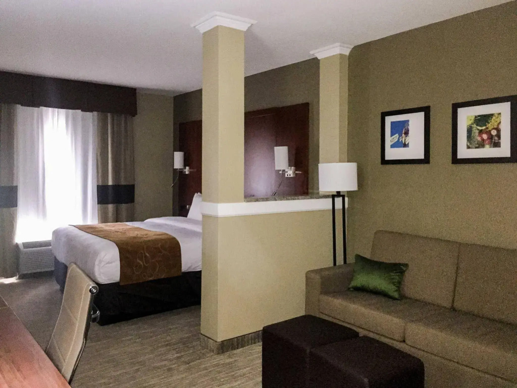 Comfort Suites - University