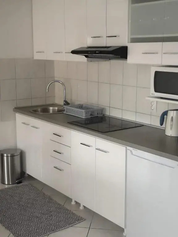 Apartments Suri
