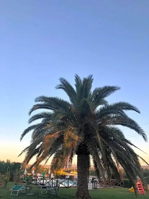 Fontebella