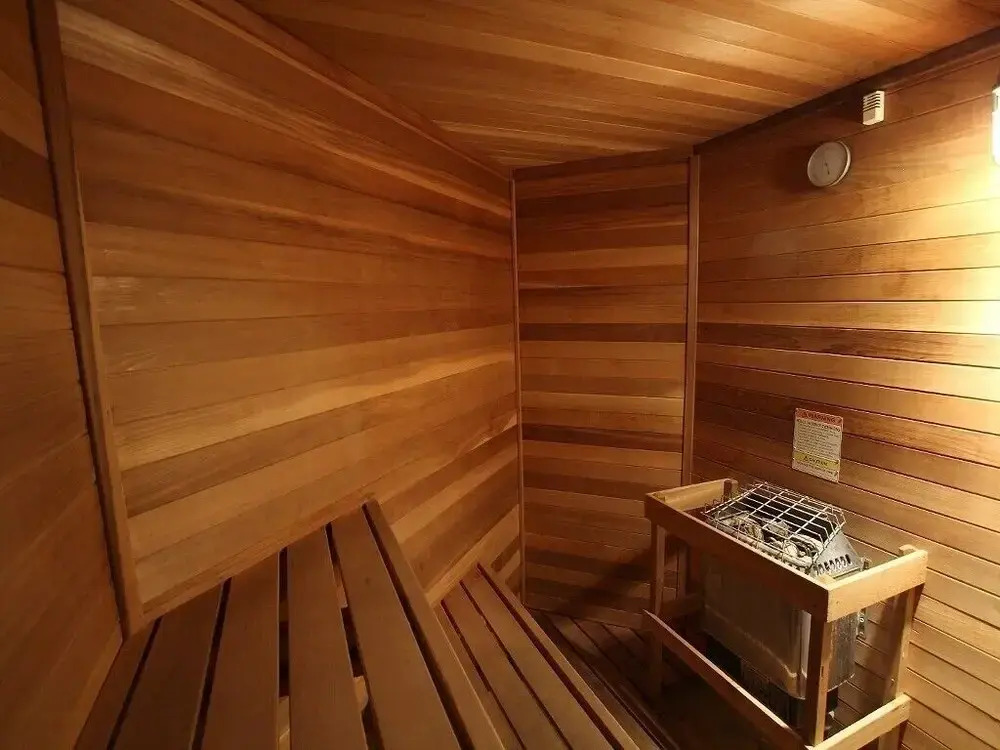 Pool, Sauna, Great Amenities, Frozen Themed Room