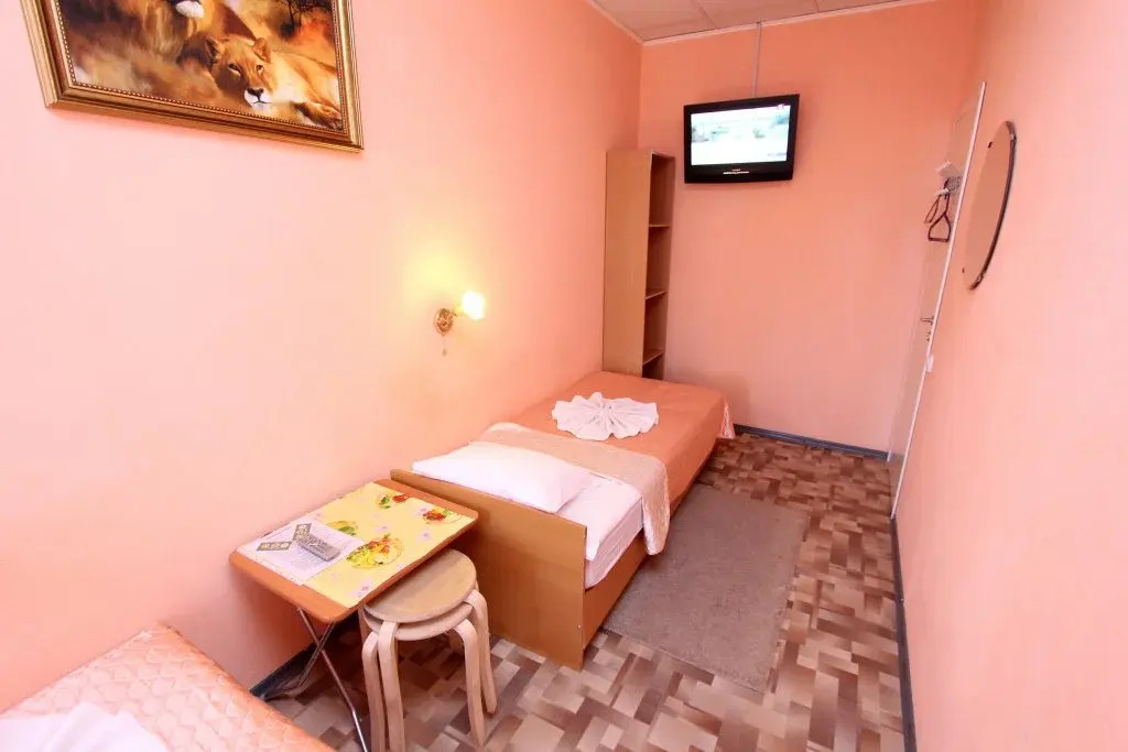 Geralda Ekonom otel' na Pushkinskoy 11