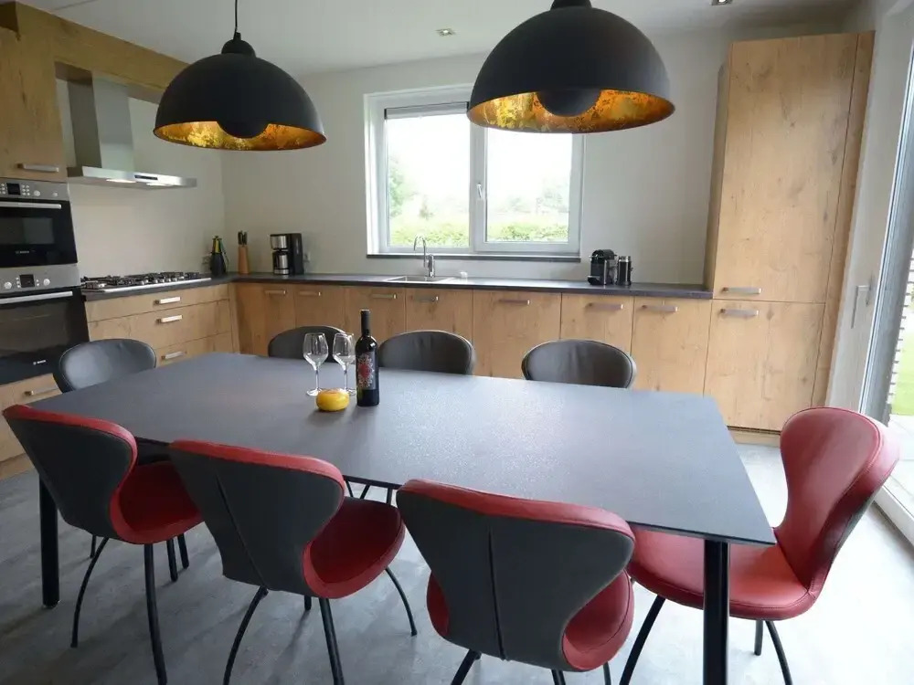 Luxury Villa in Texel