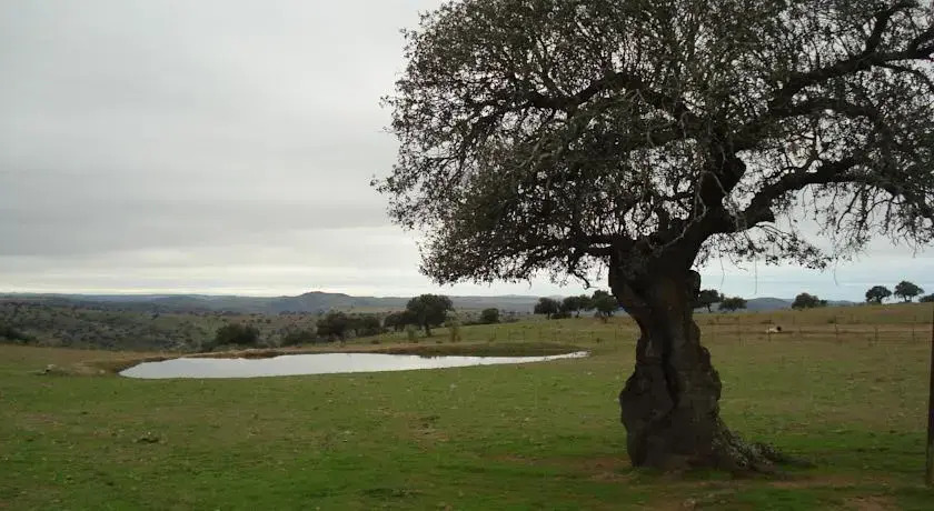 Finca Los Llanos