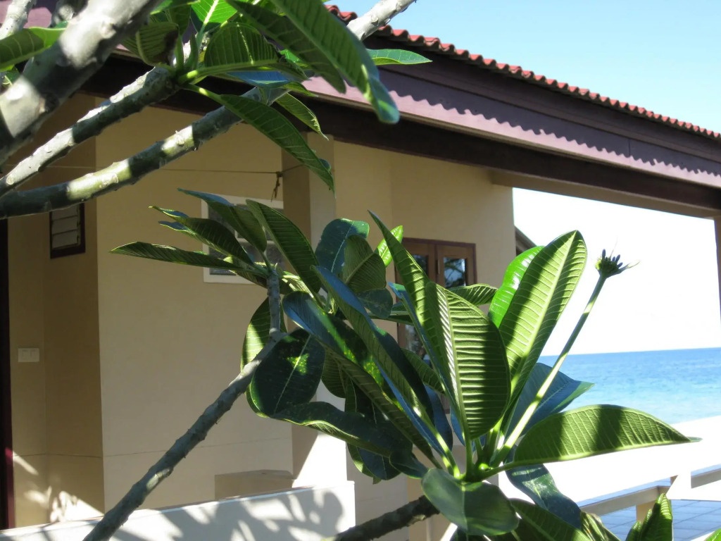 CleanWave Resort Chumphon คลีนเวฟ รีสอร์ท