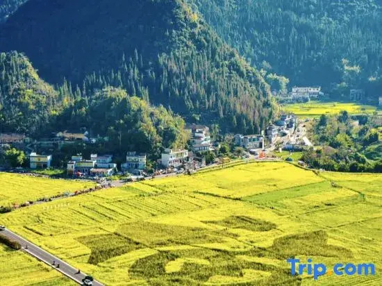Wangfeng Pavilion Homestay (Wanfenglin Scenic Area Store)