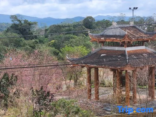 Van Tan Hotel