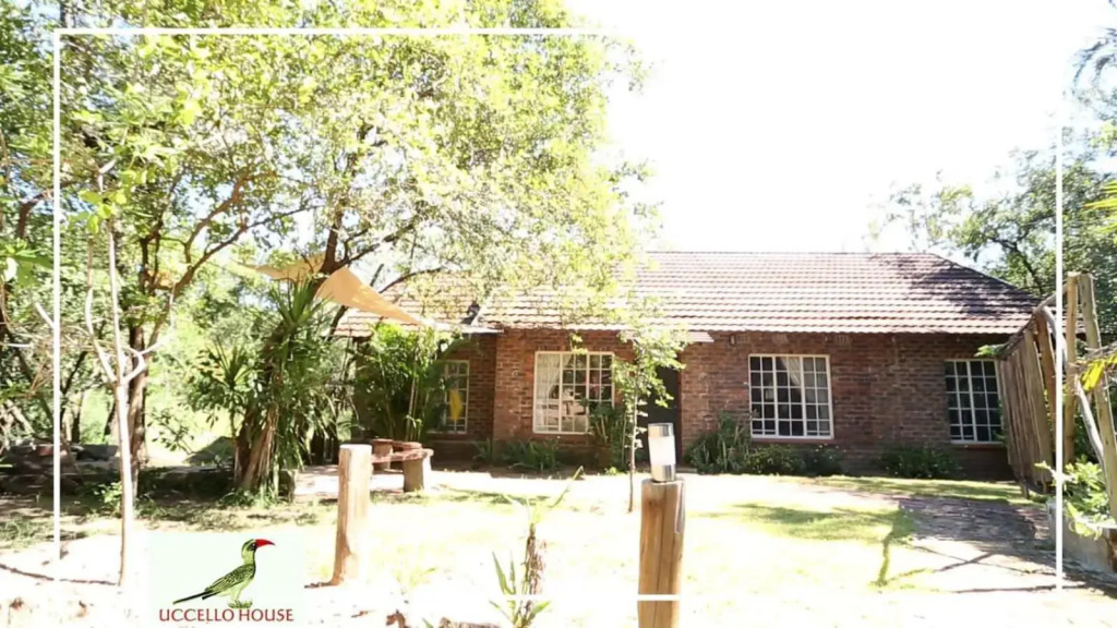 Uccellohouse