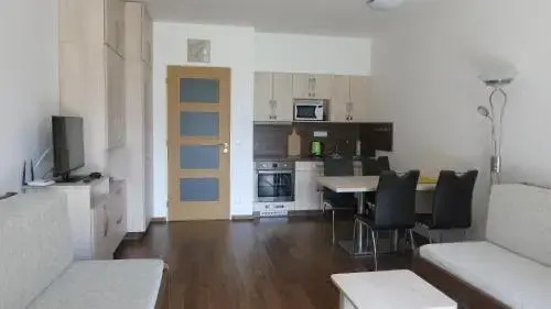 Apartment Medvědín 87