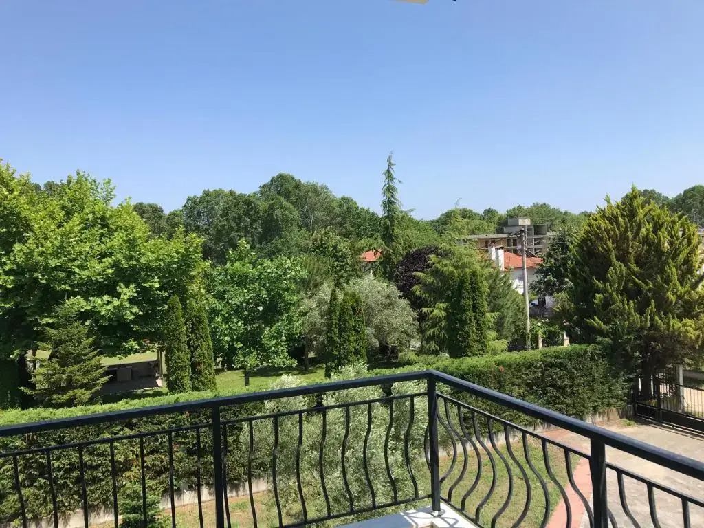 Dimeli 1