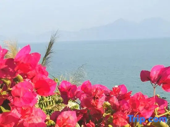 Huizhou Muyang small stack