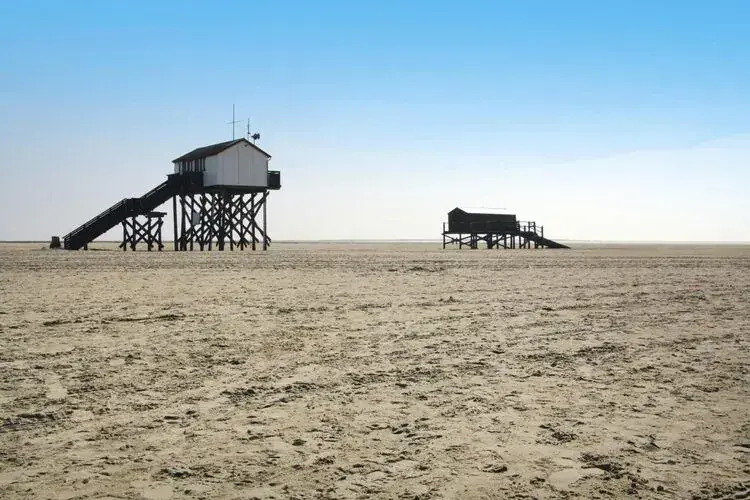 Apartment in St. Peter-Ording in a natural environment.
