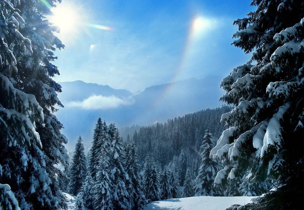 Home Hotel Arosa