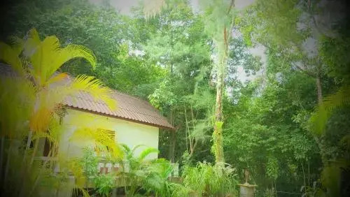 Paradise Waterfall House