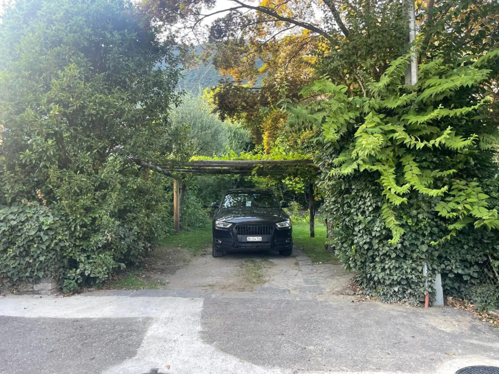 Cozy apartment in the green